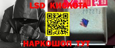 стафф Донской