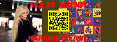 стафф Гусев