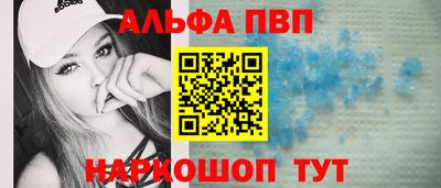 стафф Донской