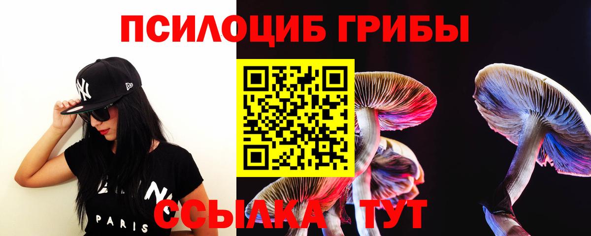 Галлюциногенные грибы мухоморы  Вход с VPN  Добрянка  Псилоцибиновые грибы Cubensis 